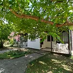 Gesztenyes Ueduelo * Balatonudvari