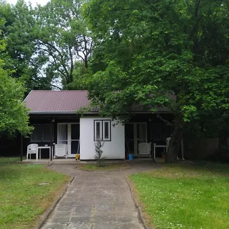 Gesztenyes Ueduelo *