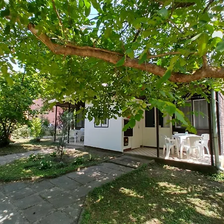 Gesztenyes Ueduelo * Balatonudvari