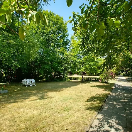 Gesztenyes Ueduelo * Balatonudvari