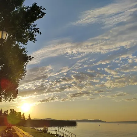 Gesztenyes Ueduelo *