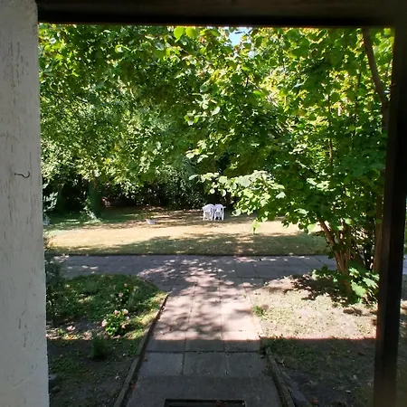 Gesztenyes Ueduelo * Balatonudvari