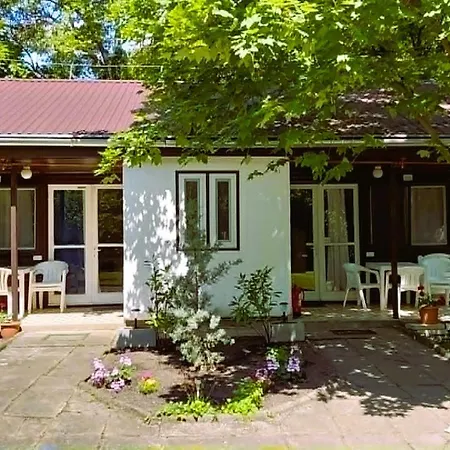 Gesztenyes Ueduelo * Balatonudvari