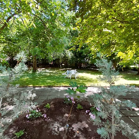 Gesztenyes Ueduelo Apartamento