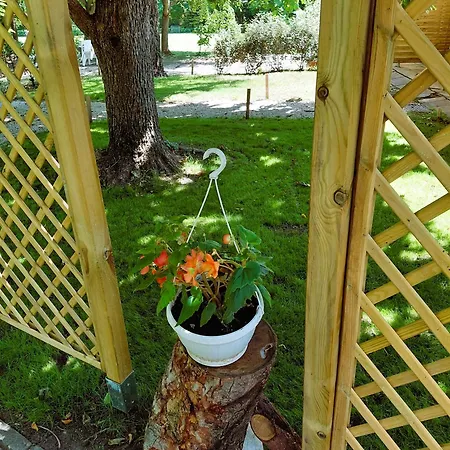 Gesztenyes Ueduelo Apartamento *