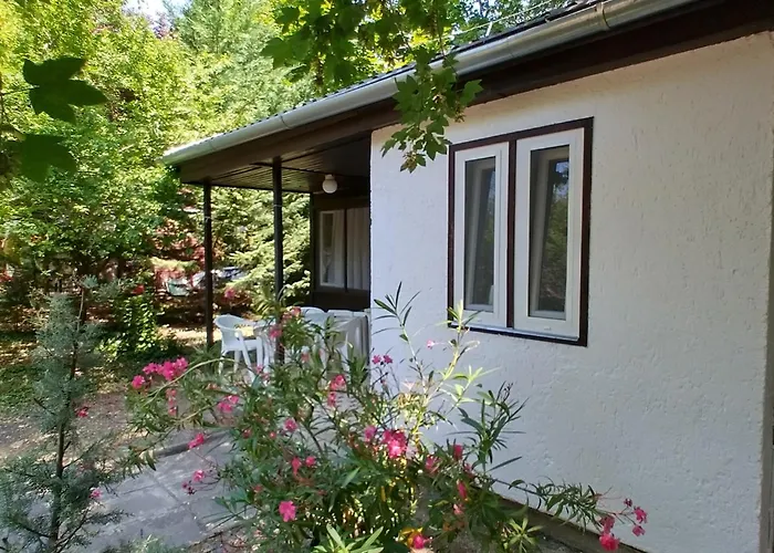 Gesztenyes Ueduelo דירה