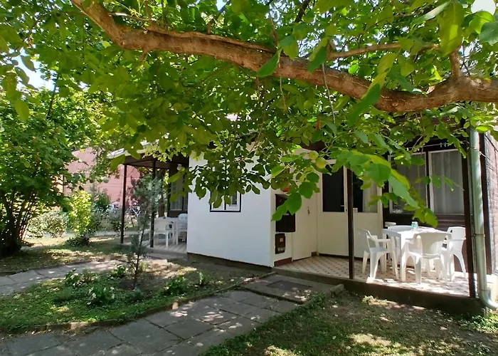 Gesztenyes Ueduelo * Balatonudvari