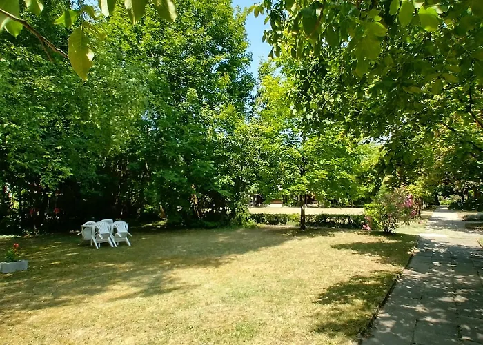 Gesztenyes Ueduelo * בלטונודבארי