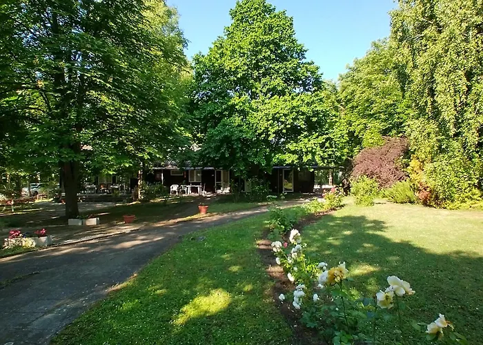 Gesztenyes Ueduelo * בלטונודבארי