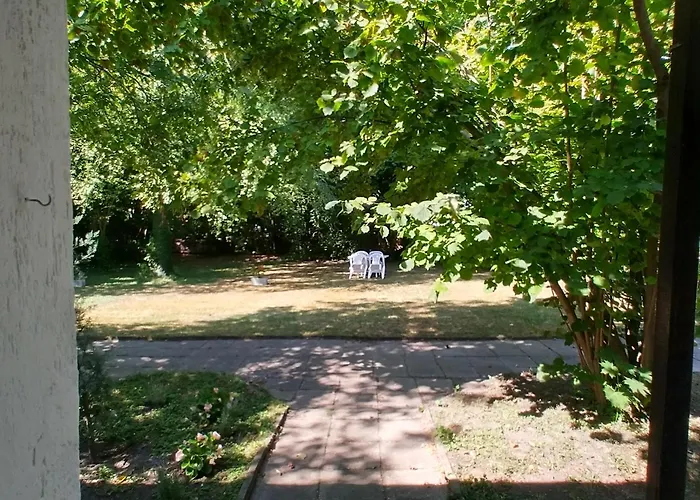 Gesztenyes Ueduelo * בלטונודבארי