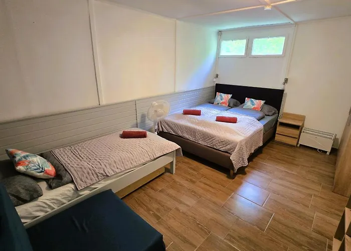 Gesztenyes Ueduelo * בלטונודבארי